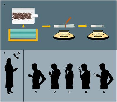 Human Laboratory Models of Cannabis Use: Applications for Clinical and Translational Psychiatry Research